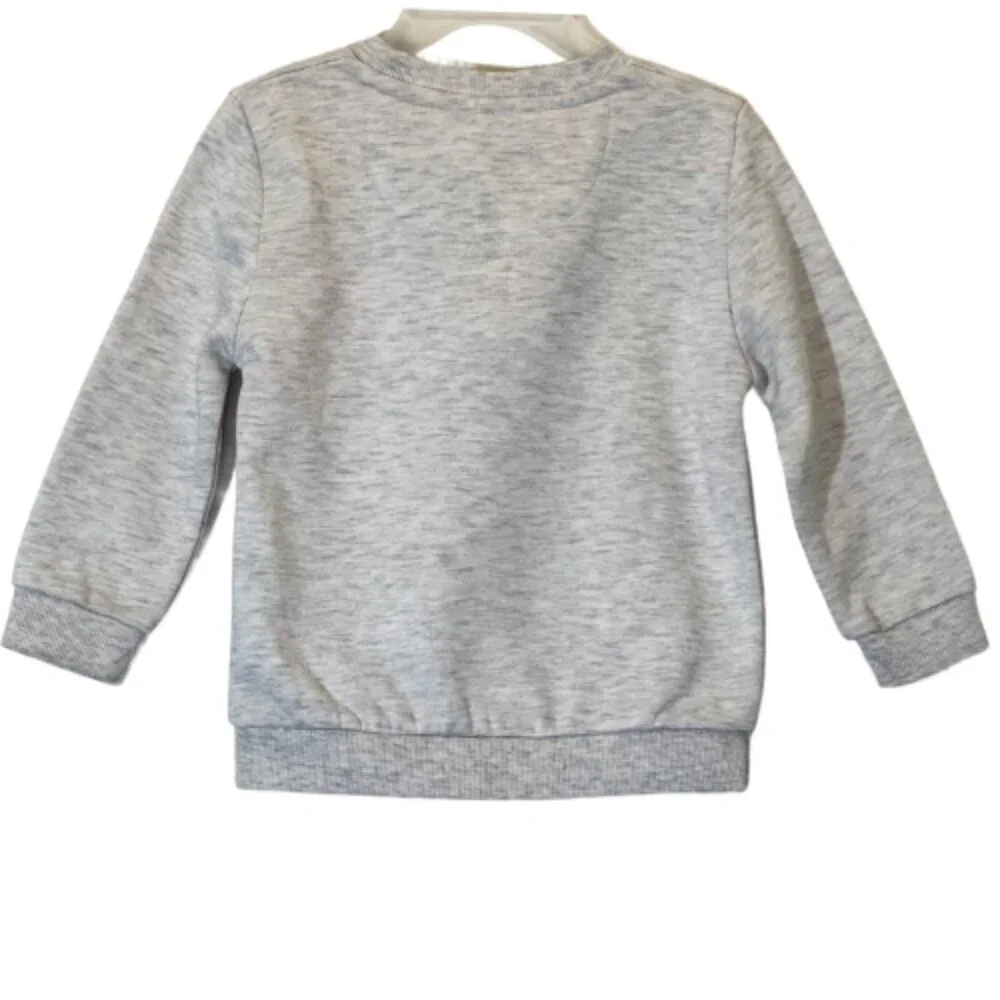 Boy's Sweatshirts Set of 3 Size 2-3Y - Picture 9 of 13